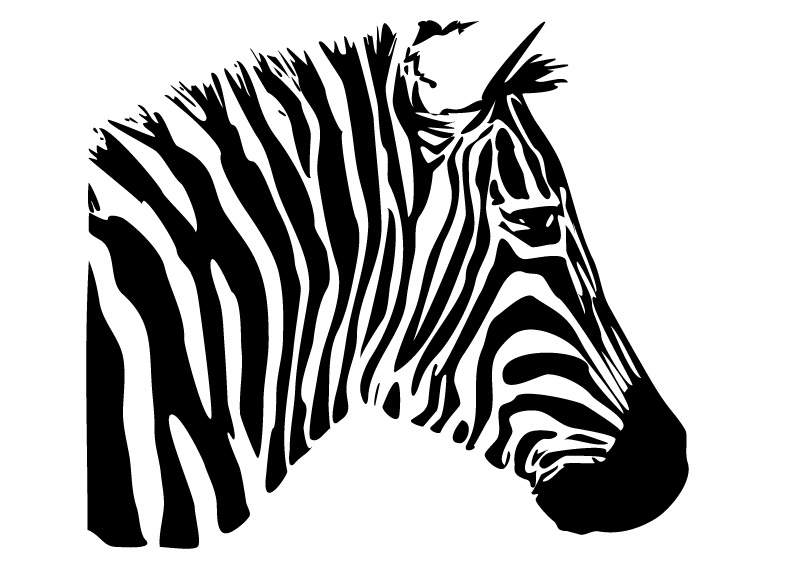 zebra outline clip art - photo #44