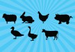 animals silhouettes free vector