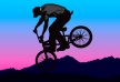 BMX bicycle rider half sihouette free vector