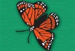 Butterfly vector illustration - free download