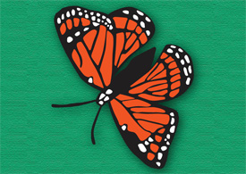Butterfly vector illustration - free download