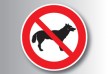 No dogs allowed vector sign