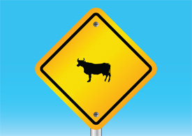 Cow warning sign free vector illustration thumb