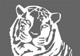 Tiger free vector illustration thumb
