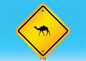 Camel warning sign vector illustration thumb