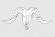 Lineart ram skull - free vector illustration - thumb