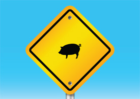 Pig warning sign free vector illustration thumb