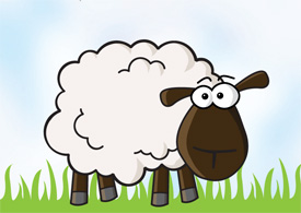 Sheep vector illustration thumb