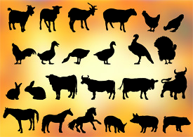24 farm animal silhouettes thumb