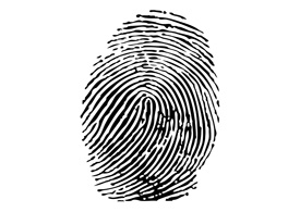 Vector fingerprint - free vector illustration