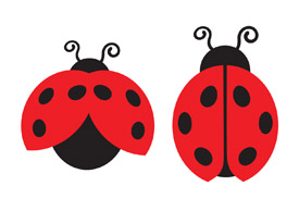 Lady bugs free vector art - thumb