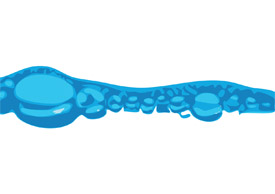 Water bubbles free vector clipart - thumb