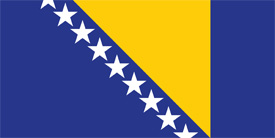 Free vector flag of Bosnia and Herzegovina