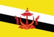 Free vector flag of Brunei