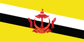 Free vector flag of Brunei