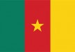 Free vector flag of Cameroon