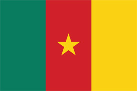 Free vector flag of Cameroon