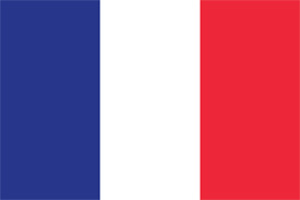 Free vector flag of France