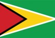 Free vector flag of Guyana