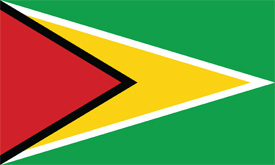Free vector flag of Guyana