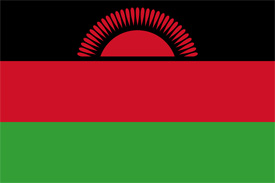 Free vector flag of Malawi