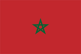 Free vector flag of Morocco