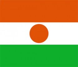 Free vector flag of Niger