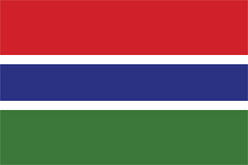 Free vector flag of the Gambia