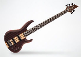 ESP LTD B-5E 5-String Bass Guitar