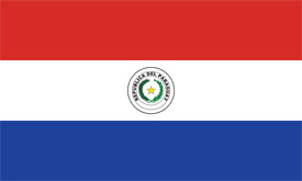 Free vector flag of Paraguay