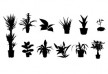 Collection Of Plant Silhouettes