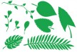 Jungle Plant Leaves and Flowers Vector Silhouettes