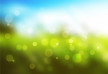 Vector Bokeh Effect On Grass And Sky Background