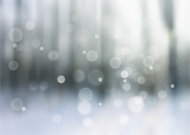 Winter Forest Bokeh Background