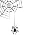 Spider And Web
