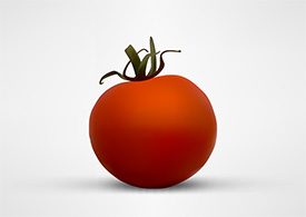 Vector Tomato Illustration