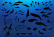 71 Fish And Sea Creature Silhouettes