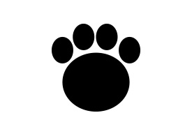 Bear Footprint Vector