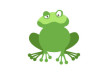 Flat Frog Vector Illustration