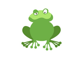 Flat Frog Vector Illustration