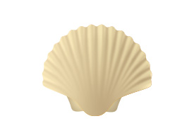 Seashell Free Vector Illustration