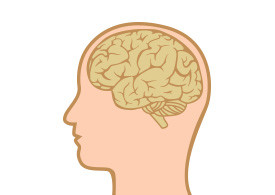 Human Head With Brain Flat Vector