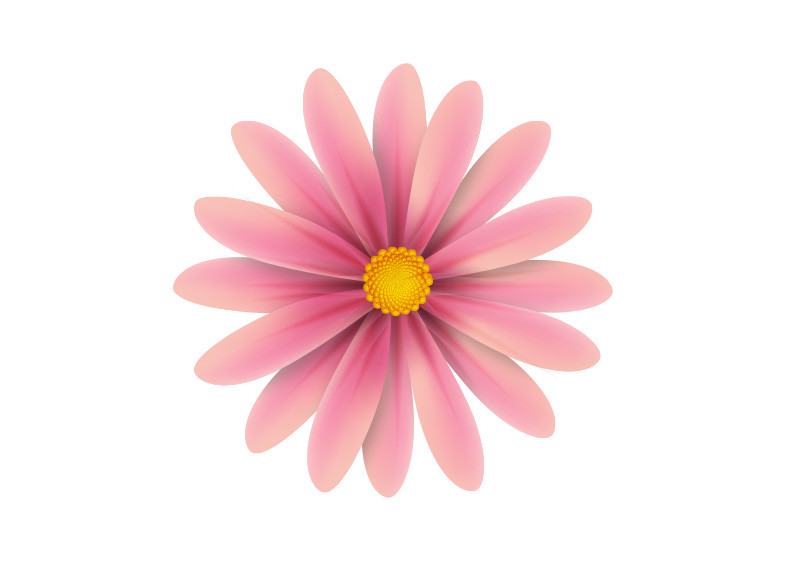 Download Pink Flower Vector Illustration