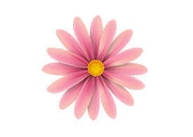 Pink Flower Vector Illustration