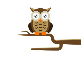 Owl on a Branch Free Vector