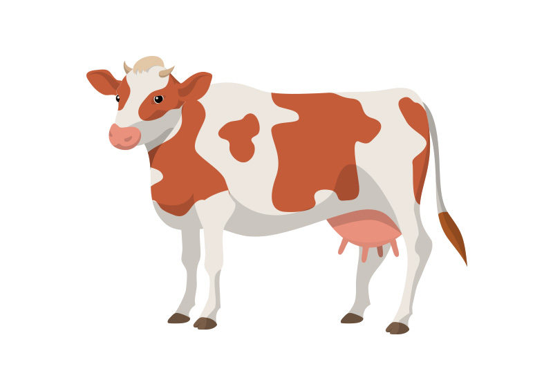 cow vector