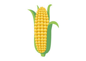 Corn With Leaves Free Vector