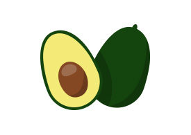 Avocado Vector Illustration