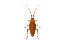 Cockroach Flat Vector - SuperAwesomeVectors