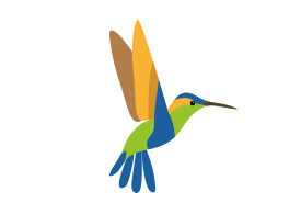 Hummingbird Vector